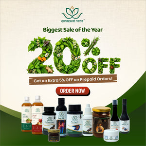 20%OFF