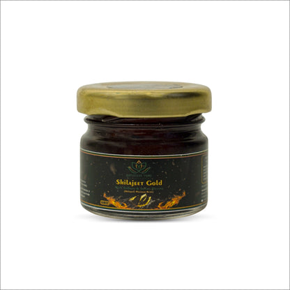 Shilajeet Gold Ayurvedic Supplement – Vitality & Mental Clarity Support (20 g)