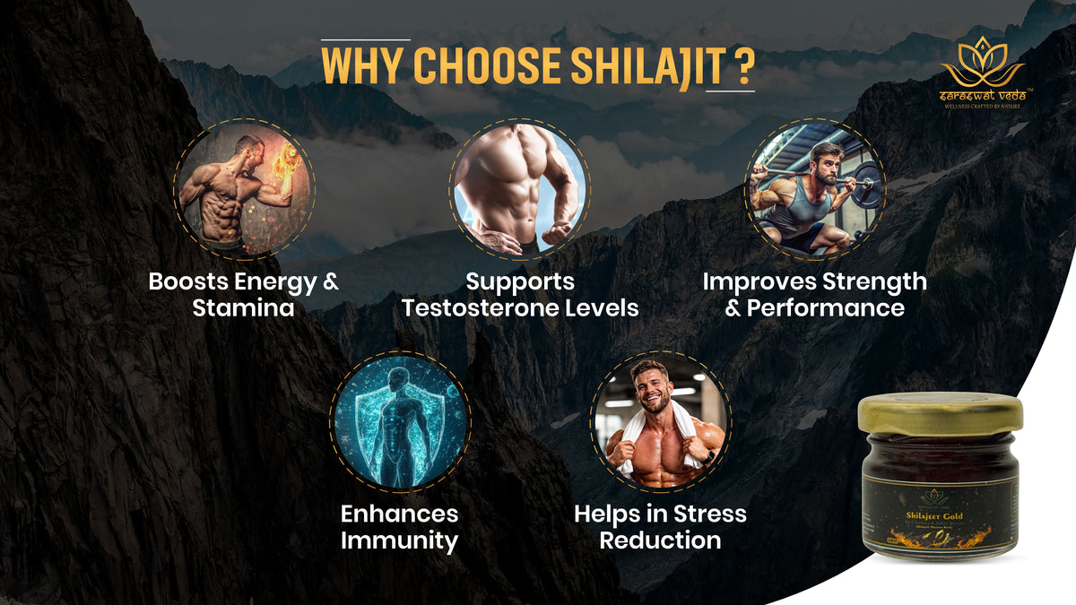 Shilajeet Gold Ayurvedic Supplement – Vitality & Mental Clarity Support (20 g)
