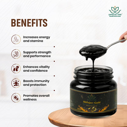 Shilajeet Gold Ayurvedic Supplement – Vitality & Mental Clarity Support (20 g)