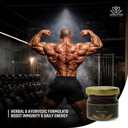 Shilajeet Gold Ayurvedic Supplement – Vitality & Mental Clarity Support (20 g)