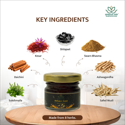 Shilajeet Gold Ayurvedic Supplement – Vitality & Mental Clarity Support (20 g)