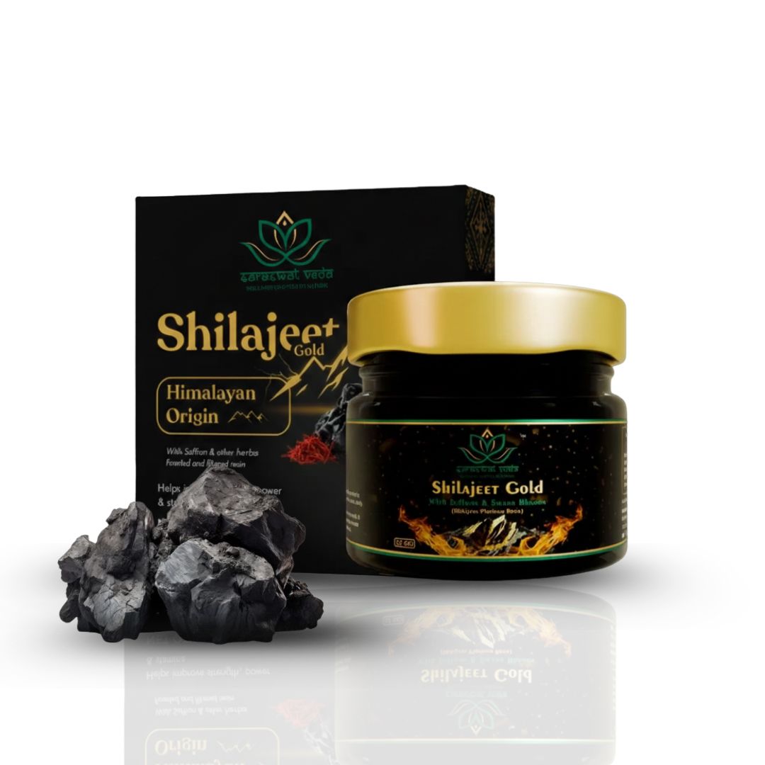 Shilajeet Gold Ayurvedic Supplement – Vitality & Mental Clarity Support (20 g)