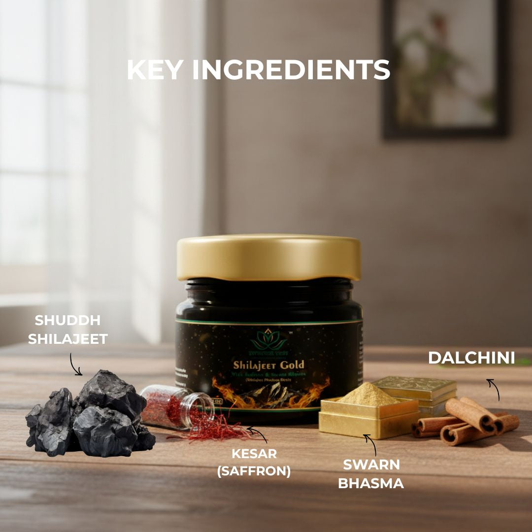 Shilajeet Gold Ayurvedic Supplement – Vitality & Mental Clarity Support (20 g)