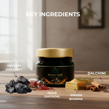 Shilajeet Gold Ayurvedic Supplement – Vitality & Mental Clarity Support (20 g)