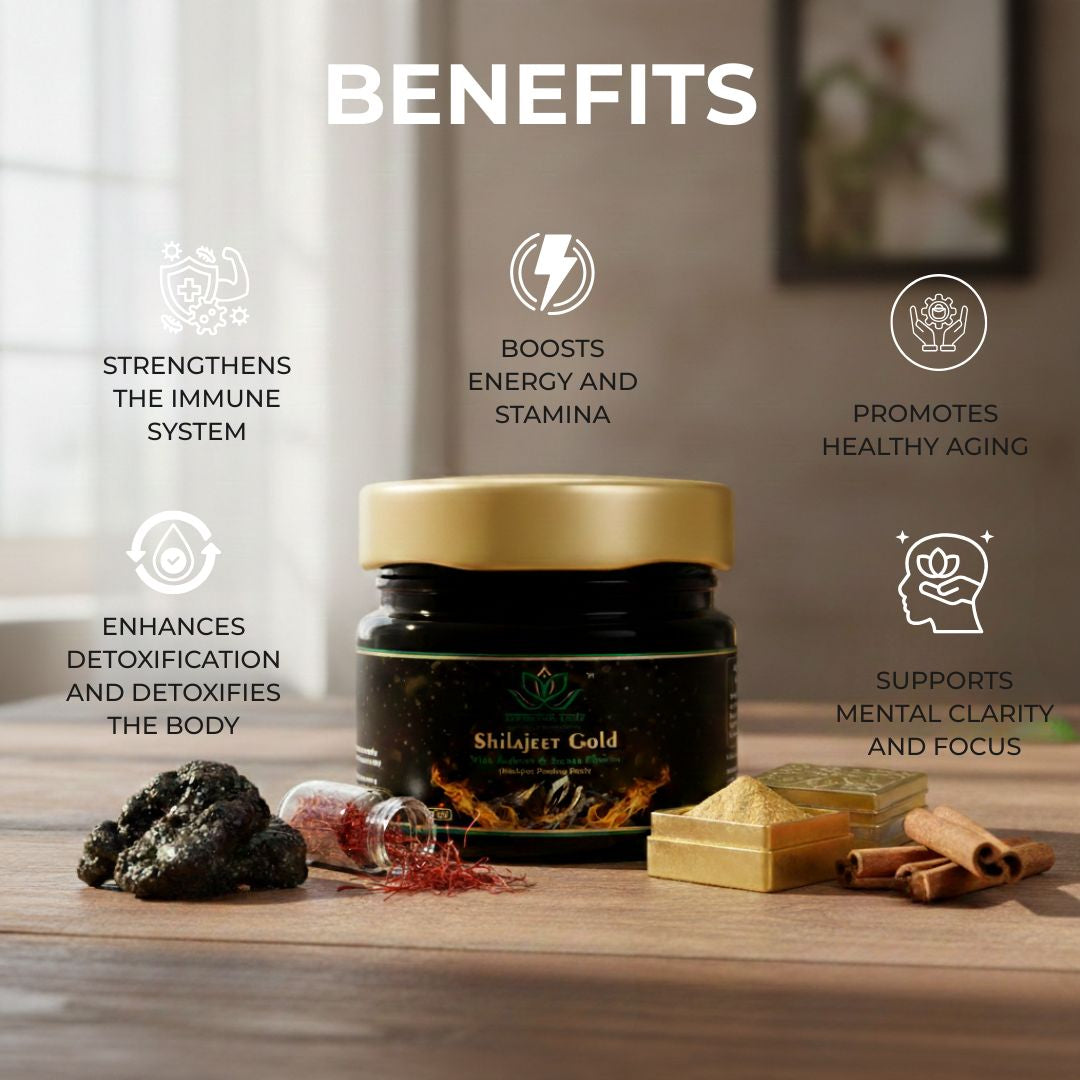 Shilajeet Gold Ayurvedic Supplement – Vitality & Mental Clarity Support (20 g)