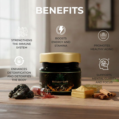 Shilajeet Gold Ayurvedic Supplement – Vitality & Mental Clarity Support (20 g)