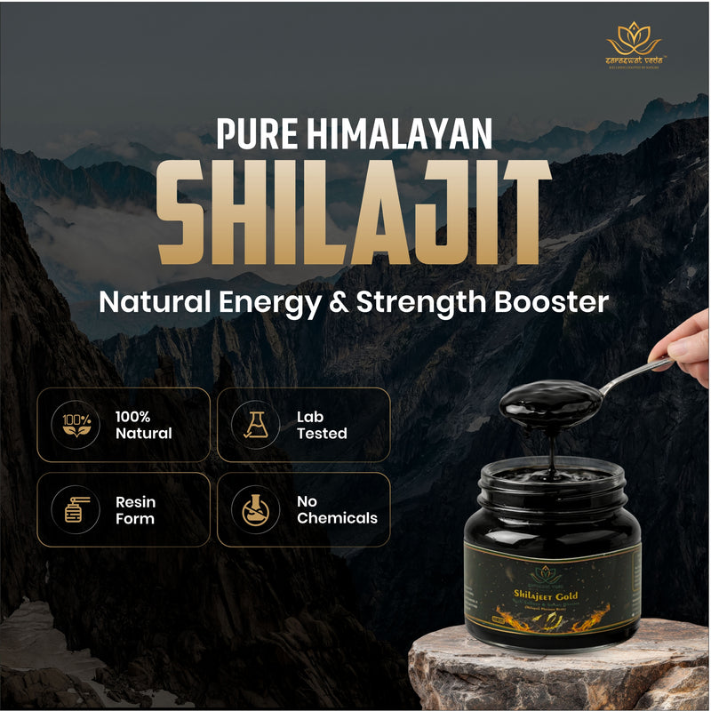Shilajeet Gold Ayurvedic Supplement – Vitality & Mental Clarity Support (20 g)