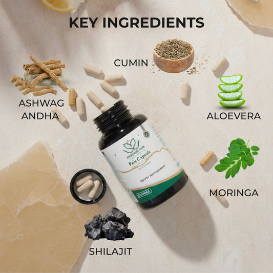 Pain Relief Ayurvedic Capsules – Joint & Muscle Support (30 Capsules)