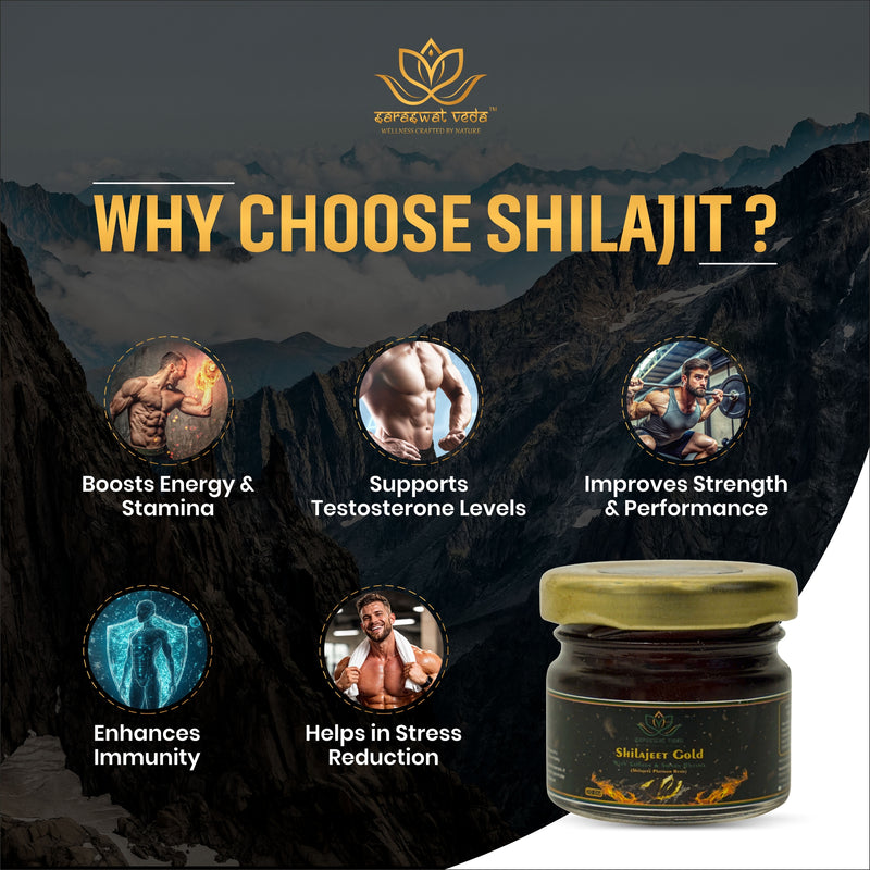 Shilajeet Gold Ayurvedic Supplement – Vitality & Mental Clarity Support (20 g)