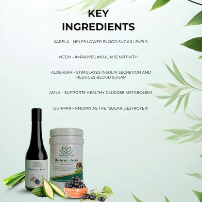 Diabetic Care Ayurvedic Kit – Blood Sugar & Metabolic Support Combo