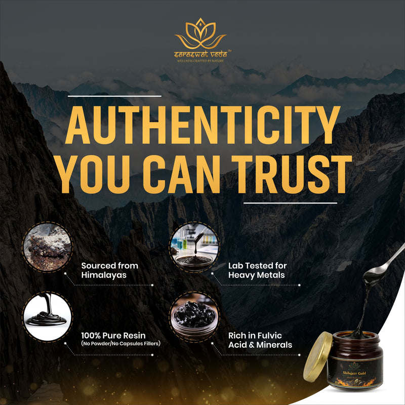 Shilajeet Gold Ayurvedic Supplement – Vitality & Mental Clarity Support (20 g)