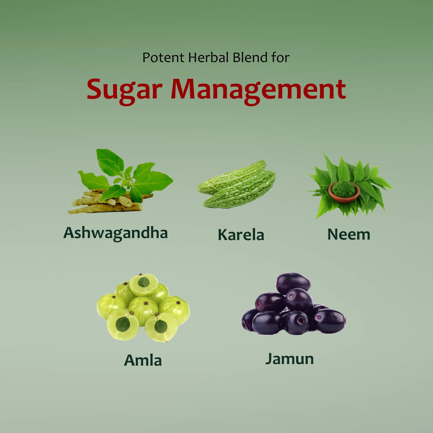 Diabetic Churn (Diab O Care Powder)