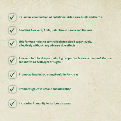 Diabetic Care Ayurvedic Kit – Blood Sugar & Metabolic Support Combo